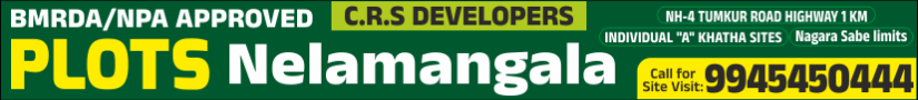 CRS Developers